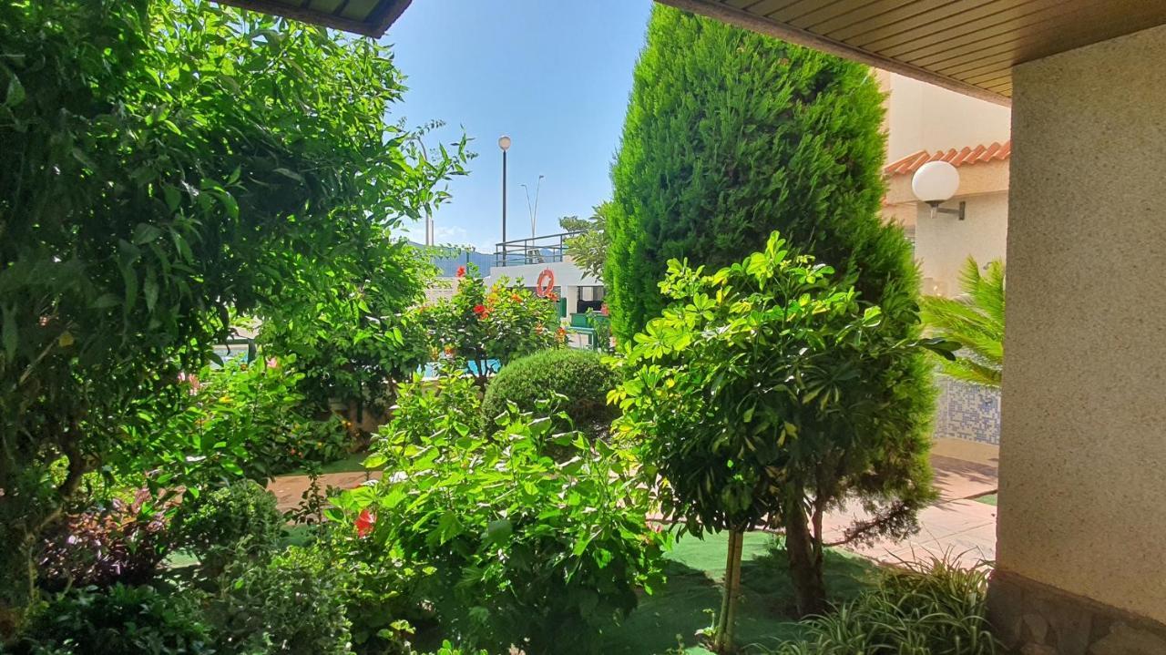 Apartament Jardines Gandia- Solo Familias Playa de Gandia Zewnętrze zdjęcie